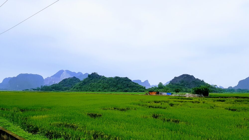 Overwinteren in Vietnam rijstvelden uitzicht
