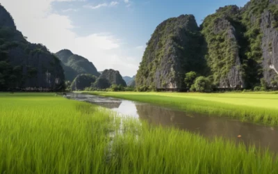 Was Sie für einen längeren Aufenthalt in Vietnam wissen müssen